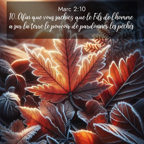 Segond21 Évangile selon Marc  ; image nature: image avec le verset biblique :Afin que vous sachiez que le Fils de l&#039;homme a sur la terre le pouvoir de pardonner les péchés, ;  ; 2:10