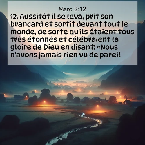 Segond21 Évangile selon Marc  ; image nature: image avec le verset biblique :Aussitôt il se leva, prit son brancard et sortit devant tout le monde, de sorte qu&#039;ils étaient tous très étonnés et célébraient la gloire de Dieu en disant: «Nous n&#039;avons jamais rien vu de pareil.» ;  ; 2:12