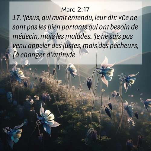 Segond21 Évangile selon Marc  ; image nature: image avec le verset biblique :Jésus, qui avait entendu, leur dit: «Ce ne sont pas les bien portants qui ont besoin de médecin, mais les malades. Je ne suis pas venu appeler des justes, mais des pécheurs, [à changer d&#039;attitude].» ;  ; 2:17