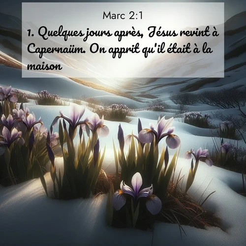 Segond21 Évangile selon Marc  ; image nature: image avec le verset biblique :Quelques jours après, Jésus revint à Capernaüm. On apprit qu&#039;il était à la maison, ;  ; 2:1