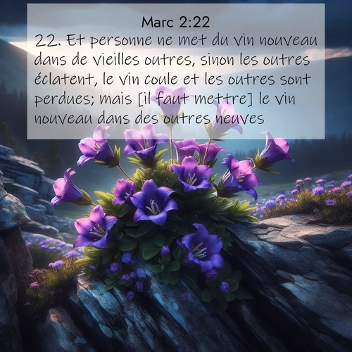 Segond21 Évangile selon Marc  ; image nature: image avec le verset biblique :Et personne ne met du vin nouveau dans de vieilles outres, sinon les outres éclatent, le vin coule et les outres sont perdues; mais [il faut mettre] le vin nouveau dans des outres neuves.» ;  ; 2:22