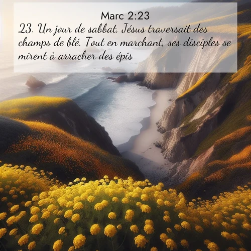 Segond21 Évangile selon Marc  ; image nature: image avec le verset biblique :Un jour de sabbat, Jésus traversait des champs de blé. Tout en marchant, ses disciples se mirent à arracher des épis. ;  ; 2:23