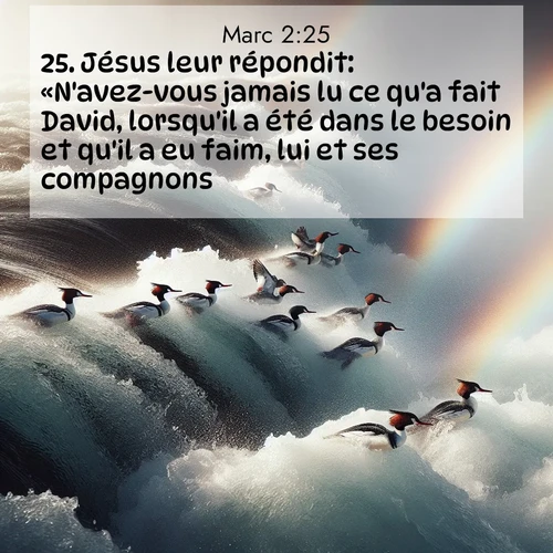Segond21 Évangile selon Marc  ; image nature: image avec le verset biblique :Jésus leur répondit: «N&#039;avez-vous jamais lu ce qu&#039;a fait David, lorsqu&#039;il a été dans le besoin et qu&#039;il a eu faim, lui et ses compagnons? ;  ; 2:25