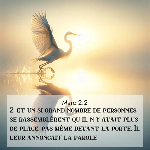 Segond21 Évangile selon Marc  ; image nature: image avec le verset biblique :et un si grand nombre de personnes se rassemblèrent qu&#039;il n&#039;y avait plus de place, pas même devant la porte. Il leur annonçait la parole. ;  ; 2:2