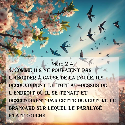 Segond21 Évangile selon Marc  ; image nature: image avec le verset biblique :Comme ils ne pouvaient pas l&#039;aborder à cause de la foule, ils découvrirent le toit au-dessus de l&#039;endroit où il se tenait et descendirent par cette ouverture le brancard sur lequel le paralysé était couché. ;  ; 2:4