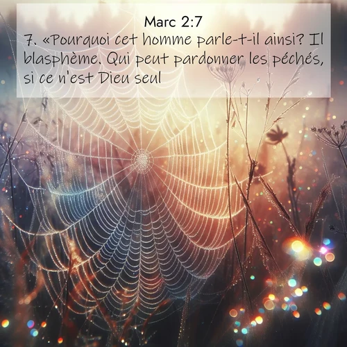 Segond21 Évangile selon Marc  ; image nature: image avec le verset biblique :«Pourquoi cet homme parle-t-il ainsi? Il blasphème. Qui peut pardonner les péchés, si ce n&#039;est Dieu seul?» ;  ; 2:7
