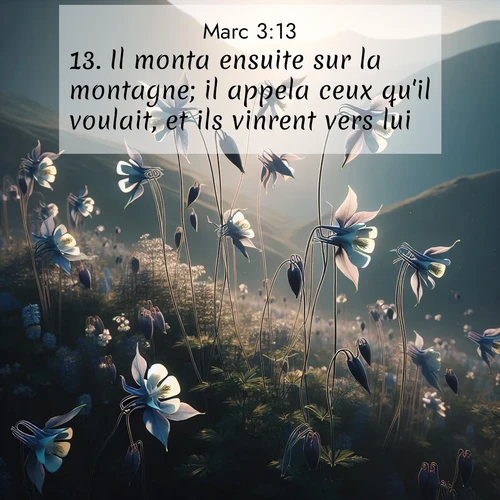 Segond21 Évangile selon Marc  ; image nature: image avec le verset biblique :Il monta ensuite sur la montagne; il appela ceux qu&#039;il voulait, et ils vinrent vers lui. ;  ; 3:13
