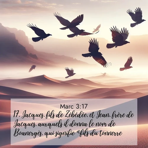 Segond21 Évangile selon Marc  ; image nature: image avec le verset biblique :Jacques, fils de Zébédée, et Jean, frère de Jacques, auxquels il donna le nom de Boanergès, qui signifie «fils du tonnerre»; ;  ; 3:17