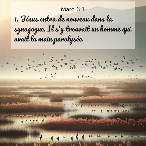 Segond21 Évangile selon Marc  ; image nature: image avec le verset biblique :Jésus entra de nouveau dans la synagogue. Il s&#039;y trouvait un homme qui avait la main paralysée. ;  ; 3:1