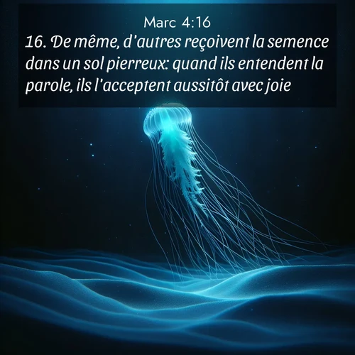 Segond21 Évangile selon Marc  ; image nature: image avec le verset biblique :De même, d&#039;autres reçoivent la semence dans un sol pierreux: quand ils entendent la parole, ils l&#039;acceptent aussitôt avec joie, ;  ; 4:16