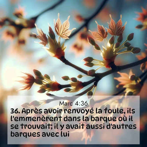 Segond21 Évangile selon Marc  ; image nature: image avec le verset biblique :Après avoir renvoyé la foule, ils l&#039;emmenèrent dans la barque où il se trouvait; il y avait aussi d&#039;autres barques avec lui. ;  ; 4:36