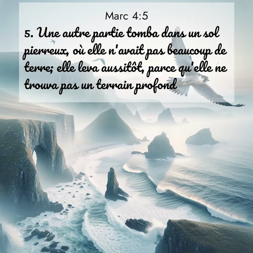 Segond21 Évangile selon Marc  ; image nature: image avec le verset biblique :Une autre partie tomba dans un sol pierreux, où elle n&#039;avait pas beaucoup de terre; elle leva aussitôt, parce qu&#039;elle ne trouva pas un terrain profond, ;  ; 4:5