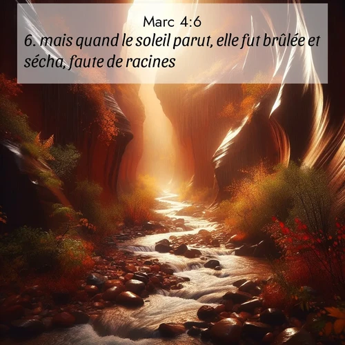 Segond21 Évangile selon Marc  ; image nature: image avec le verset biblique :mais quand le soleil parut, elle fut brûlée et sécha, faute de racines. ;  ; 4:6