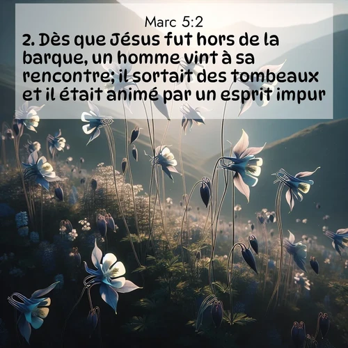Segond21 Évangile selon Marc  ; image nature: image avec le verset biblique :Dès que Jésus fut hors de la barque, un homme vint à sa rencontre; il sortait des tombeaux et il était animé par un esprit impur. ;  ; 5:2