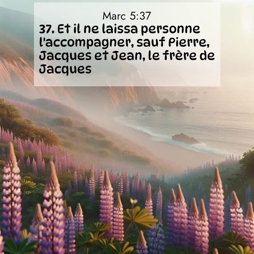 Segond21 Évangile selon Marc  ; image nature: image avec le verset biblique :Et il ne laissa personne l&#039;accompagner, sauf Pierre, Jacques et Jean, le frère de Jacques. ;  ; 5:37