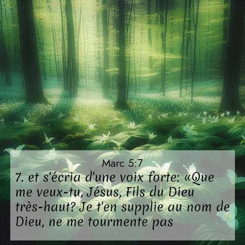 Segond21 Évangile selon Marc  ; image nature: image avec le verset biblique :et s&#039;écria d&#039;une voix forte: «Que me veux-tu, Jésus, Fils du Dieu très-haut? Je t&#039;en supplie au nom de Dieu, ne me tourmente pas.» ;  ; 5:7