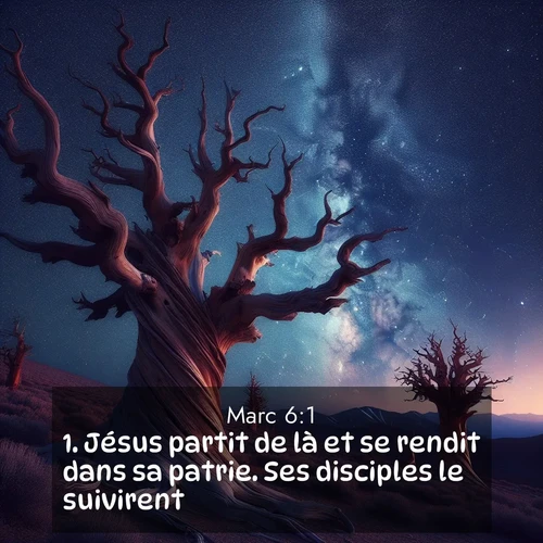 Segond21 Évangile selon Marc  ; image nature: image avec le verset biblique :Jésus partit de là et se rendit dans sa patrie. Ses disciples le suivirent. ;  ; 6:1