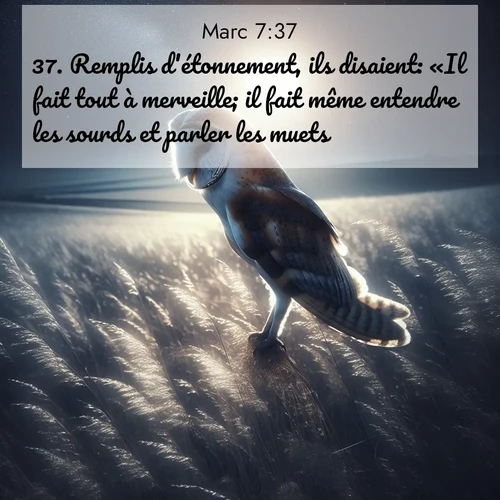 Segond21 Évangile selon Marc  ; image nature: image avec le verset biblique :Remplis d&#039;étonnement, ils disaient: «Il fait tout à merveille; il fait même entendre les sourds et parler les muets.» ;  ; 7:37