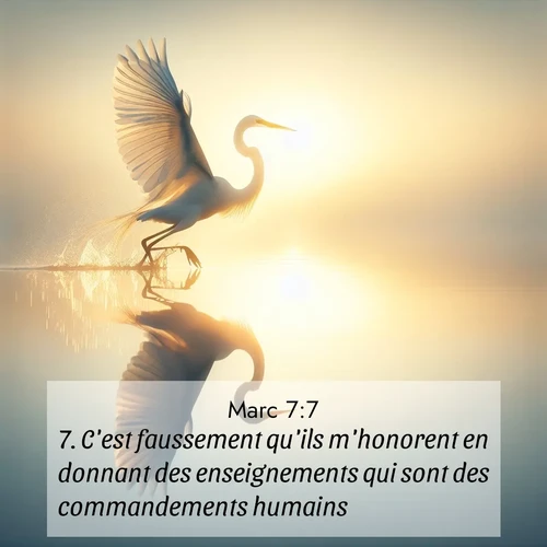 Segond21 Évangile selon Marc  ; image nature: image avec le verset biblique :C&#039;est faussement qu&#039;ils m&#039;honorent en donnant des enseignements qui sont des commandements humains. ;  ; 7:7