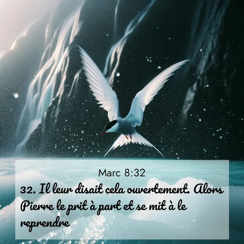 image nature avec verset biblique de la Bible