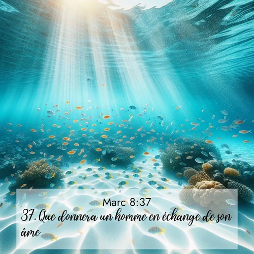 Segond21 Évangile selon Marc  ; image nature: image avec le verset biblique :Que donnera un homme en échange de son âme? ;  ; 8:37