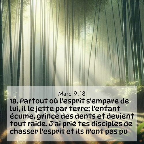 image nature avec verset biblique de la Bible