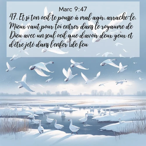 image nature avec verset biblique de la Bible