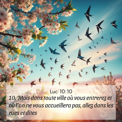 Segond21 Évangile selon Luc  ; image nature: image avec le verset biblique :Mais dans toute ville où vous entrerez et où l&#039;on ne vous accueillera pas, allez dans les rues et dites: ;  ; 10:10