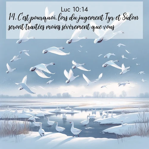 Segond21 Évangile selon Luc  ; image nature: image avec le verset biblique :C&#039;est pourquoi, lors du jugement Tyr et Sidon seront traitées moins sévèrement que vous. ;  ; 10:14