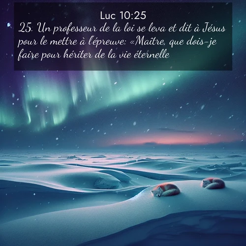 Segond21 Évangile selon Luc  ; image nature: image avec le verset biblique :Un professeur de la loi se leva et dit à Jésus pour le mettre à l&#039;épreuve: «Maître, que dois-je faire pour hériter de la vie éternelle?» ;  ; 10:25