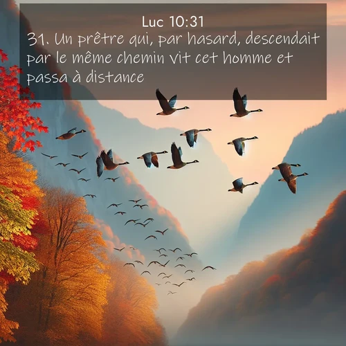 Segond21 Évangile selon Luc  ; image nature: image avec le verset biblique :Un prêtre qui, par hasard, descendait par le même chemin vit cet homme et passa à distance. ;  ; 10:31