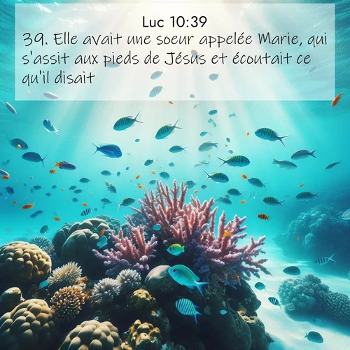 Segond21 Évangile selon Luc  ; image nature: image avec le verset biblique :Elle avait une soeur appelée Marie, qui s&#039;assit aux pieds de Jésus et écoutait ce qu&#039;il disait. ;  ; 10:39