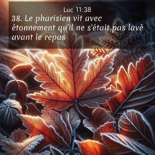 image nature avec verset biblique de la Bible