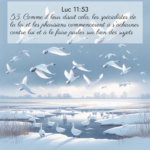 image nature avec verset biblique de la Bible