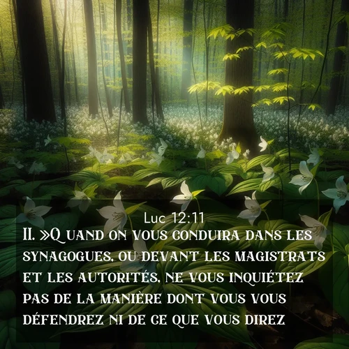 Segond21 Évangile selon Luc  ; image nature: image avec le verset biblique :»Quand on vous conduira dans les synagogues, ou devant les magistrats et les autorités, ne vous inquiétez pas de la manière dont vous vous défendrez ni de ce que vous direz. ;  ; 12:11