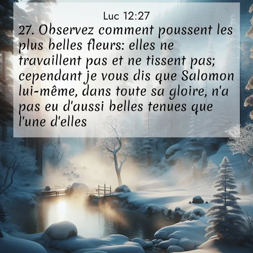 Segond21 Évangile selon Luc  ; image nature: image avec le verset biblique :Observez comment poussent les plus belles fleurs: elles ne travaillent pas et ne tissent pas; cependant je vous dis que Salomon lui-même, dans toute sa gloire, n&#039;a pas eu d&#039;aussi belles tenues que l&#039;une d&#039;elles. ;  ; 12:27