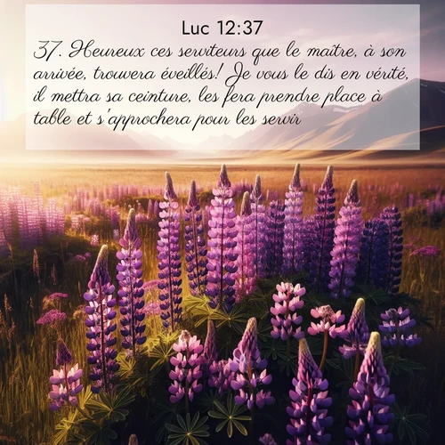 Segond21 Évangile selon Luc  ; image nature: image avec le verset biblique :Heureux ces serviteurs que le maître, à son arrivée, trouvera éveillés! Je vous le dis en vérité, il mettra sa ceinture, les fera prendre place à table et s&#039;approchera pour les servir. ;  ; 12:37