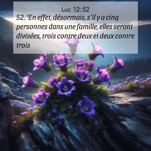 Segond21 Évangile selon Luc  ; image nature: image avec le verset biblique :En effet, désormais, s&#039;il y a cinq personnes dans une famille, elles seront divisées, trois contre deux et deux contre trois, ;  ; 12:52
