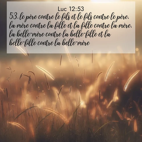 Segond21 Évangile selon Luc  ; image nature: image avec le verset biblique :le père contre le fils et le fils contre le père, la mère contre la fille et la fille contre la mère, la belle-mère contre la belle-fille et la belle-fille contre la belle-mère.» ;  ; 12:53
