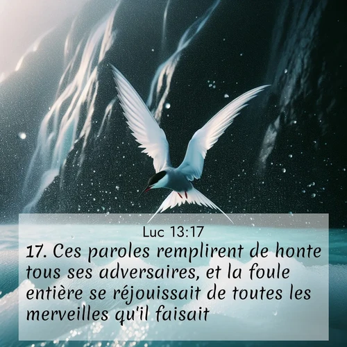 Segond21 Évangile selon Luc  ; image nature: image avec le verset biblique :Ces paroles remplirent de honte tous ses adversaires, et la foule entière se réjouissait de toutes les merveilles qu&#039;il faisait. ;  ; 13:17