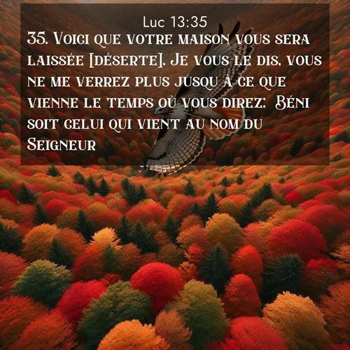 Segond21 Évangile selon Luc  ; image nature: image avec le verset biblique :Voici que votre maison vous sera laissée [déserte]. Je vous le dis, vous ne me verrez plus jusqu&#039;à ce que vienne le temps où vous direz: &#039;Béni soit celui qui vient au nom du Seigneur!&#039;» ;  ; 13:35