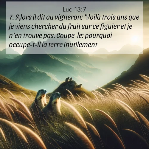 Segond21 Évangile selon Luc  ; image nature: image avec le verset biblique :Alors il dit au vigneron: &#039;Voilà trois ans que je viens chercher du fruit sur ce figuier et je n&#039;en trouve pas. Coupe-le: pourquoi occupe-t-il la terre inutilement?&#039; ;  ; 13:7