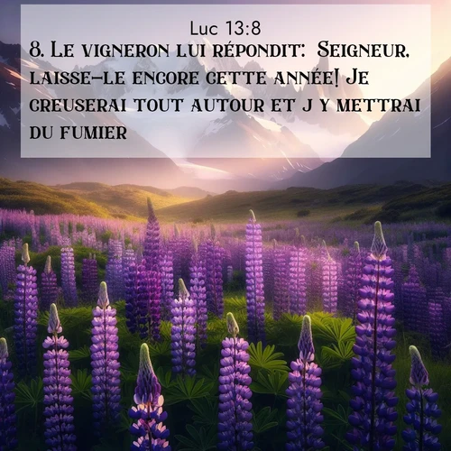 Segond21 Évangile selon Luc  ; image nature: image avec le verset biblique :Le vigneron lui répondit: &#039;Seigneur, laisse-le encore cette année! Je creuserai tout autour et j&#039;y mettrai du fumier. ;  ; 13:8