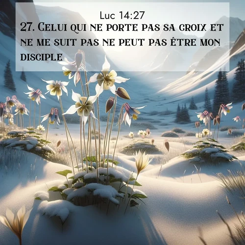 Segond21 Évangile selon Luc  ; image nature: image avec le verset biblique :Celui qui ne porte pas sa croix et ne me suit pas ne peut pas être mon disciple. ;  ; 14:27