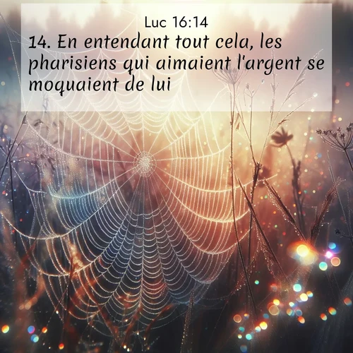 image nature avec verset biblique de la Bible