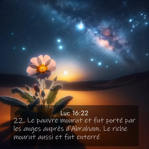 Segond21 Évangile selon Luc  ; image nature: image avec le verset biblique :Le pauvre mourut et fut porté par les anges auprès d&#039;Abraham. Le riche mourut aussi et fut enterré. ;  ; 16:22