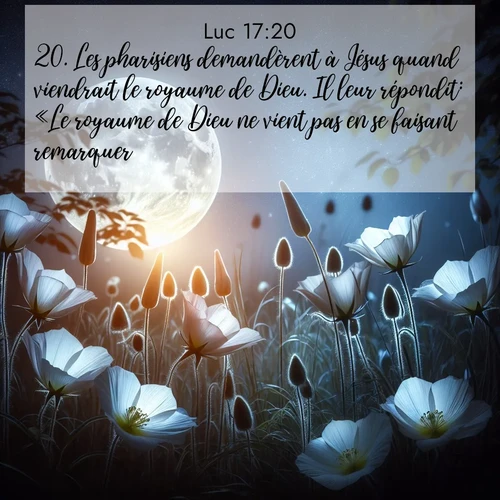 Segond21 Évangile selon Luc  ; image nature: image avec le verset biblique :Les pharisiens demandèrent à Jésus quand viendrait le royaume de Dieu. Il leur répondit: «Le royaume de Dieu ne vient pas en se faisant remarquer. ;  ; 17:20