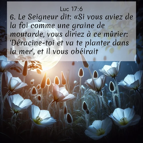 Segond21 Évangile selon Luc  ; image nature: image avec le verset biblique :Le Seigneur dit: «Si vous aviez de la foi comme une graine de moutarde, vous diriez à ce mûrier: &#039;Déracine-toi et va te planter dans la mer&#039;, et il vous obéirait. ;  ; 17:6