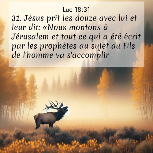 Segond21 Évangile selon Luc  ; image nature: image avec le verset biblique :Jésus prit les douze avec lui et leur dit: «Nous montons à Jérusalem et tout ce qui a été écrit par les prophètes au sujet du Fils de l&#039;homme va s&#039;accomplir. ;  ; 18:31
