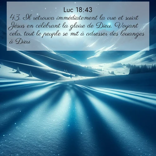 Segond21 Évangile selon Luc  ; image nature: image avec le verset biblique :Il retrouva immédiatement la vue et suivit Jésus en célébrant la gloire de Dieu. Voyant cela, tout le peuple se mit à adresser des louanges à Dieu. ;  ; 18:43